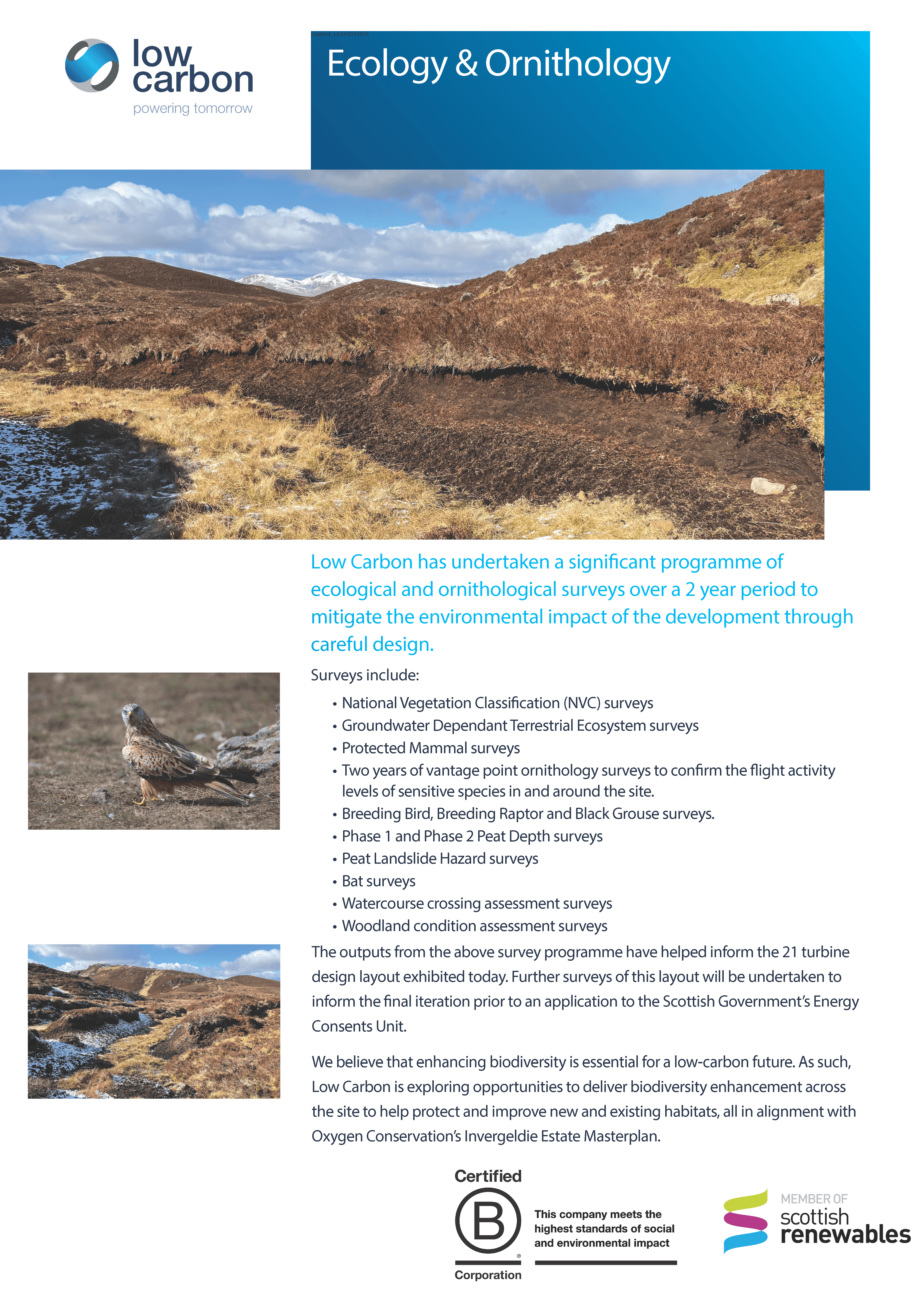 Ecology & Ornithology